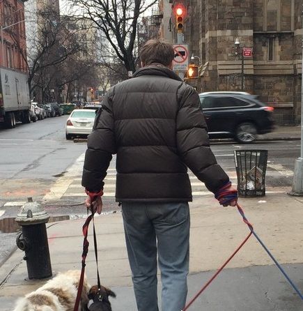 The Village Diaries : Stories of a Dog Walker